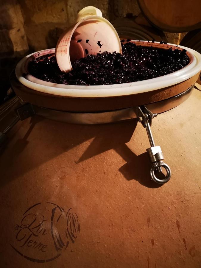 Chateau Cantelaube サン・テミリオン エクステリア 写真
