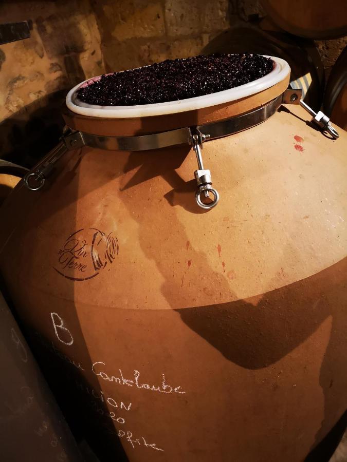 Chateau Cantelaube サン・テミリオン エクステリア 写真