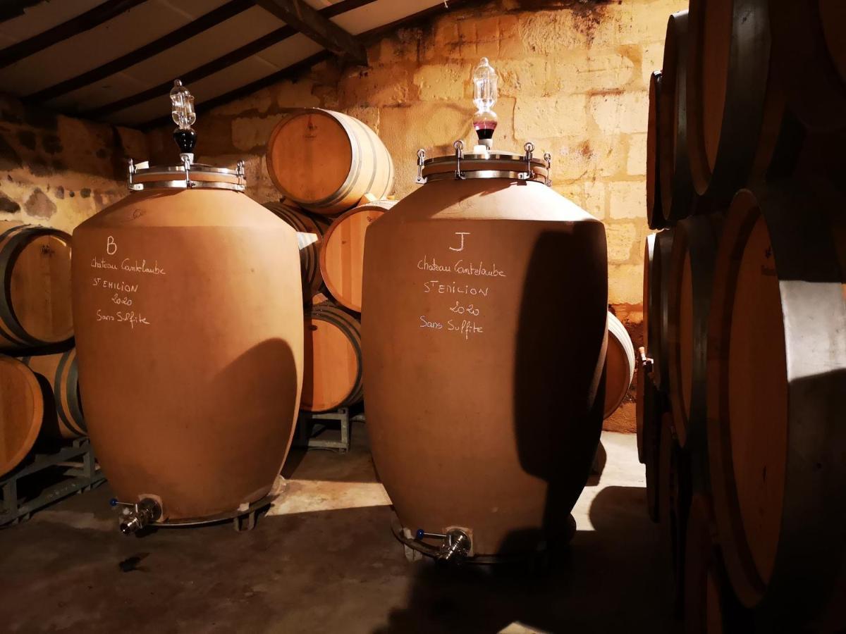 Chateau Cantelaube サン・テミリオン エクステリア 写真