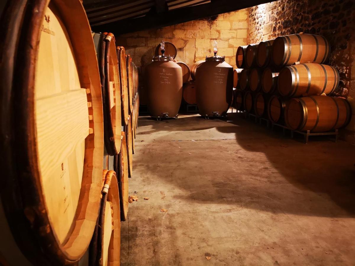Chateau Cantelaube サン・テミリオン エクステリア 写真