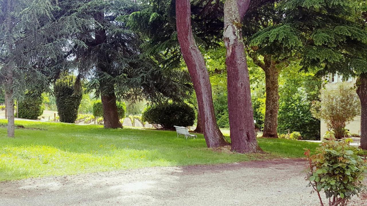 Chateau Cantelaube サン・テミリオン エクステリア 写真